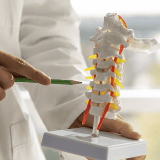 Hakim Injury Law: Spinal-Cord-Injury