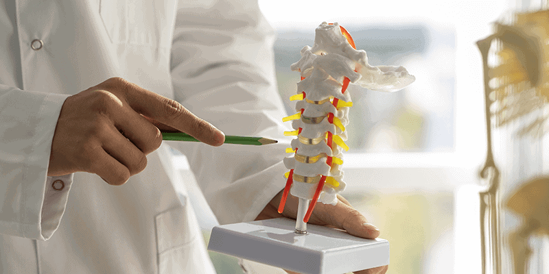 Spinal Cord Injury Lawyer
